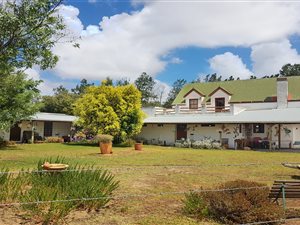 18 ha Farm in Cape Farms