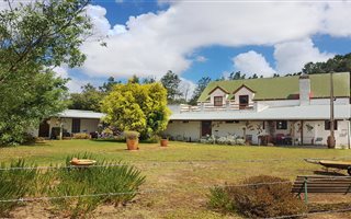 18 ha Farm in Cape Farms
