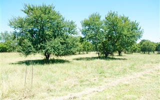1000 m² Land available in Boschkop