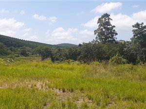 5 ha Farm in Pongola