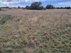288 ha Farm in Vryburg