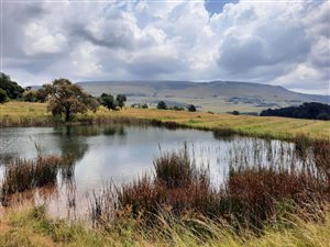 835.7 ha Farm in Dullstroom