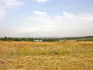 1.3 ha Farm in Sun Valley