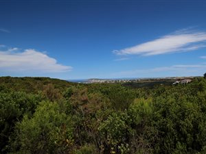 1215 m² Land available in Schoongezicht