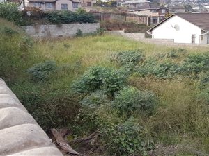 624 m² Land available in Dunveria