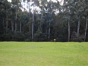 874 m² Land available in Heather Park