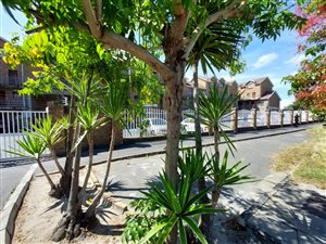 2 Bed Apartment in Arauna
