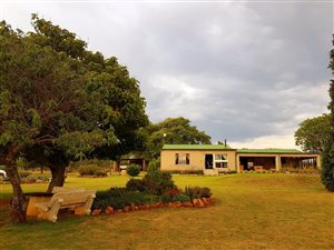 8.6 ha Farm in Tarlton