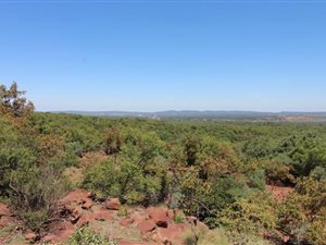 38.5 ha Farm in Modimole (Nylstroom)
