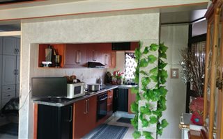1 Bedroom Apartment in Phoenix