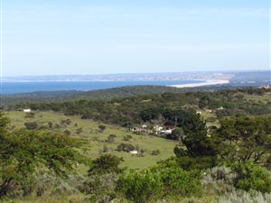 17.4 ha Farm in Thornhill