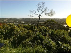 1270 m² Land available in Seafield