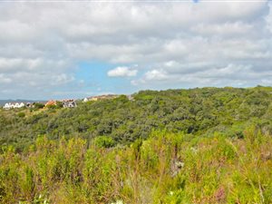 1091 m² Land available in Fernwood