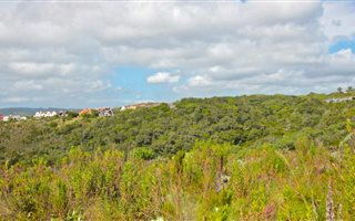 1091 m² Land available in Fernwood