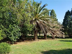5 Bed House in Ardenwold