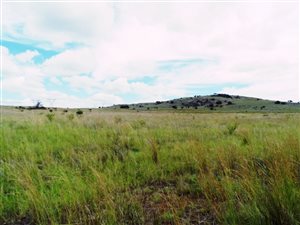 105 ha Farm in Rietfontein