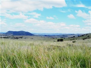 105 ha Farm in Rietfontein