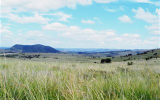 105 ha Farm in Rietfontein
