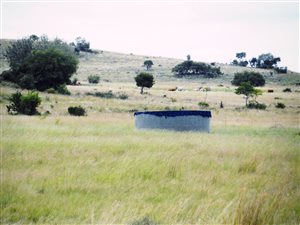105 ha Farm in Rietfontein