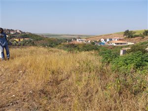442 m² Land available in Belvedere