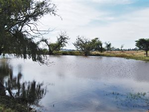 21 ha Farm in Krugersdorp Central