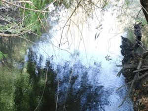 1625 m² Land available in Vaal de Grace Golf Estate