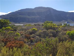600 m² Land available in Bettys Bay