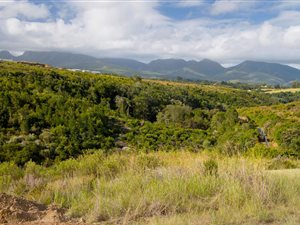 1160 m² Land available in Welgelegen Estate