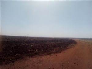 33 ha Land available in Welgedacht