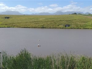 33 ha Farm in George Rural