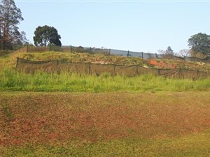 4022 m² Land available in Alverstone