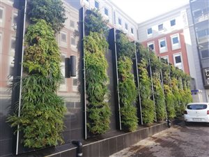 1110.18005371094 m² Office Space in Rosebank