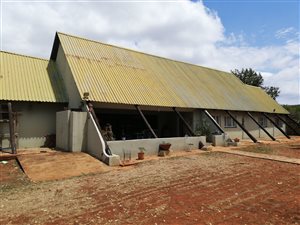 26.7 ha Farm in Lydenburg