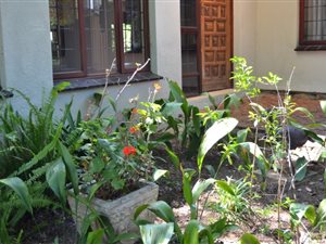 5 Bedroom House in Bryanston East