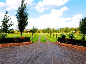 47 ha Farm in Lydenburg