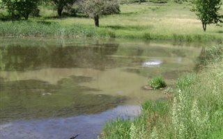 18 ha Farm in Underberg