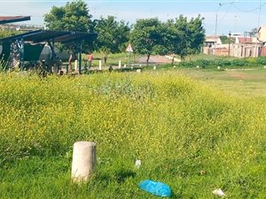 1.1 ha Land available in Orlando East