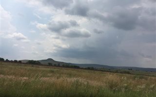 1.1 ha Land available in Gerhardsville