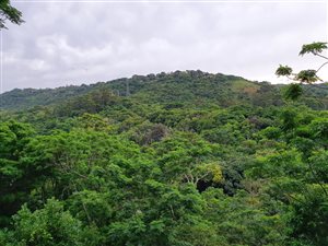 1020 m² Land available in Escombe