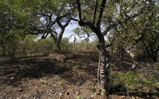 3400 m² Land available in Blyde Wildlife Estate