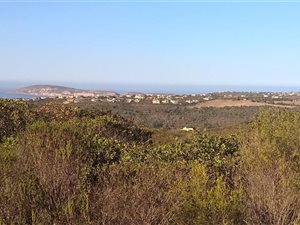 1400 m² Land available in Schoongezicht
