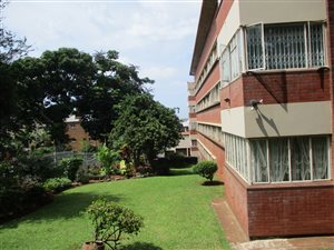 1 Bed Apartment in Glenwood