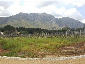 1217 m² Land available in Paradyskloof