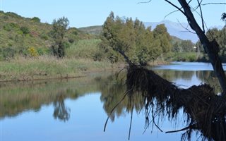 3.3 ha Land available in Bonnievale
