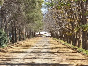 214 ha Farm in Bloemfontein Rural