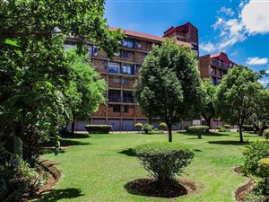 2 Bed Apartment in Kilner Park
