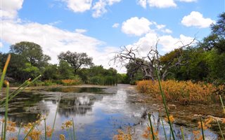 593 ha Farm in Hoedspruit