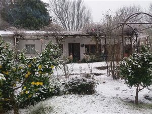 6438 m² Farm in Hogsback