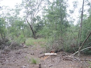 1.9 ha Land available in Colleen Glen