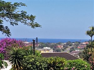 1088 m² Land available in Freeland Park